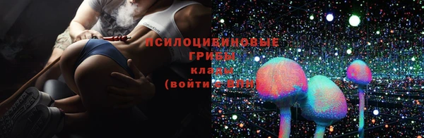 ECSTASY Михайловск